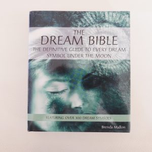 The Dream Bible by Brenda Mallon
