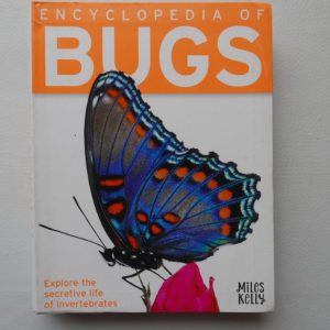 Encyclopedia of Bugs by Miles Kelly