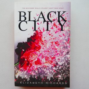 Black City by Elizabeth Richards