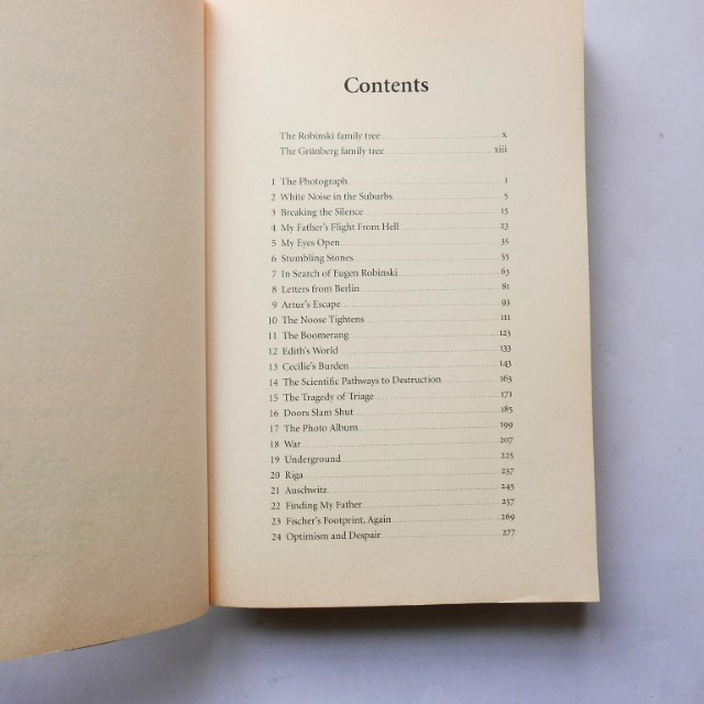 Letters of Stone: From Nazi Germany to South Africa by Steven Robbins - Image 3