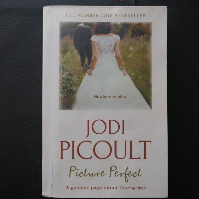 Perfect Picture by Jodi Picoult